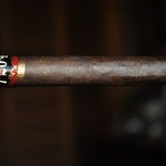 K.A Kendall's 7-20-4 Corona